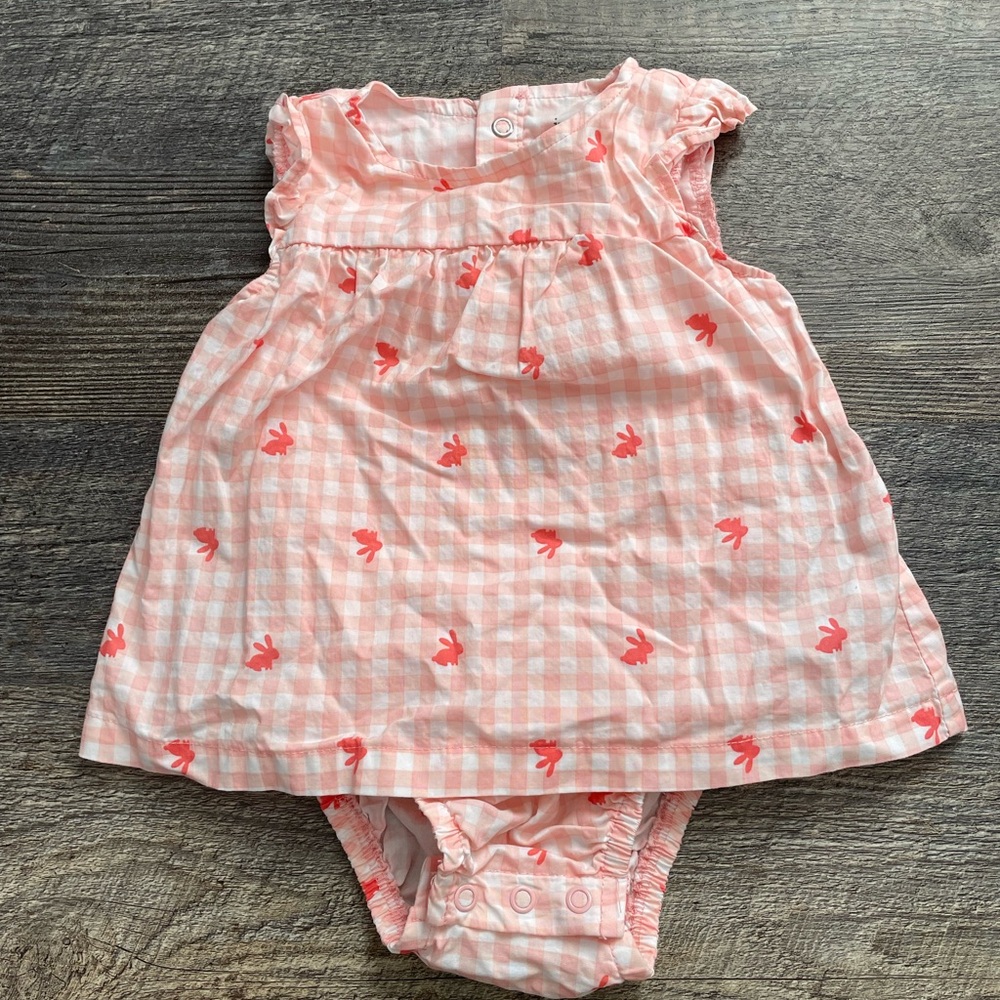 Pink Gingham Baby Dress with Bird Print